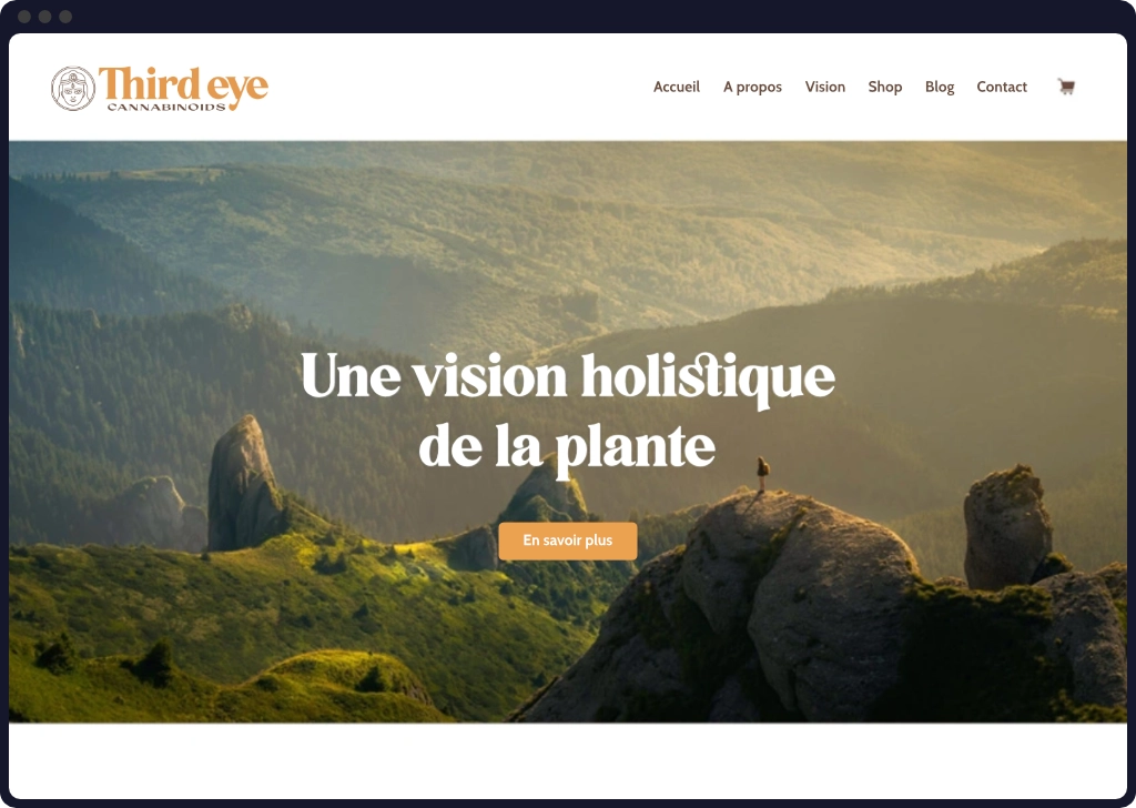 Site-web-Third-eye-avant